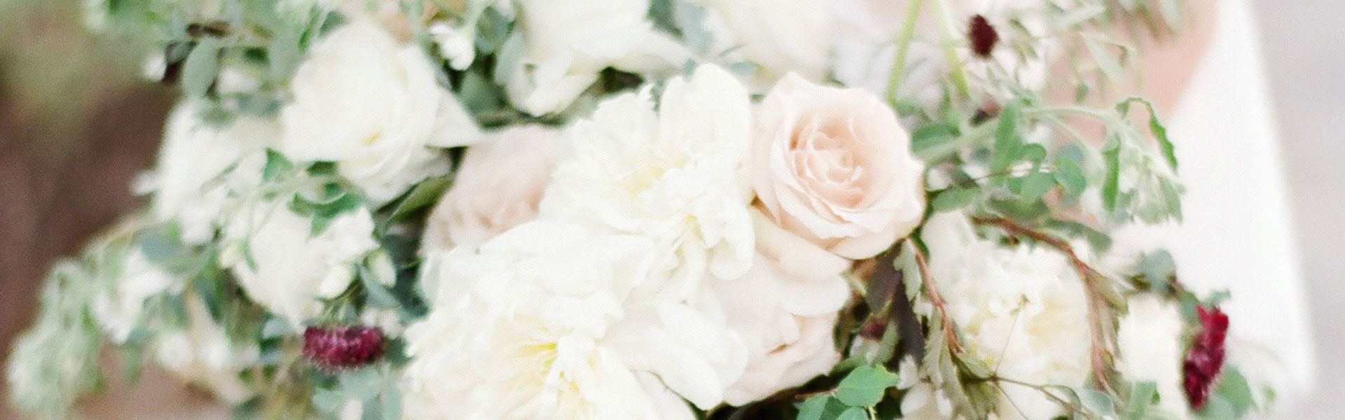 page-header-bg